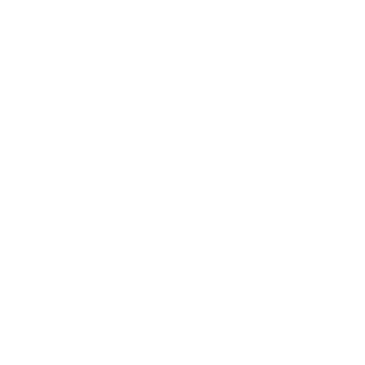 tag icon